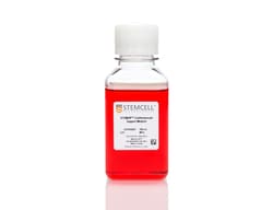 STEMCELL Technologies STEMdiff Cardiomyocyte Support Medium, Size: 250