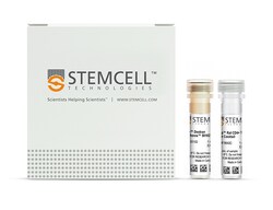 STEMCELL Technologies EasySep Rat CD4+ T Cell Isolation Kit, For processing: