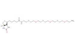 eMolecules​&nbsp;Biotin-PEG6-amine | Broadpharm | 2757573-29-6 | MFCD27977503 | 550.710 | C24H46N4O8S | 98.000 | NCCOCCOCCOCCOCCOCCOCCNC(=O)CCCC[C@@H]1SC[C@@H]2NC(=O)N[C@H]12 | 100mg | 247403115