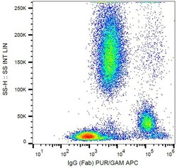Abcam Mouse monoclonal [4A11] to Human IgG Fab fragment, Quantity: Each