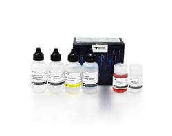 Vector Laboratories ImmPACT SG HRP Substrate 120ml MP-7601-50, Quantity: