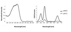 Abcam Glycolysis Assay [Extracellular acidification], Quantity: Each of