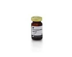 Vector Laboratories Succinylated Wheat Germ Agglutinin (WGA), Agarose bound, 2mL
