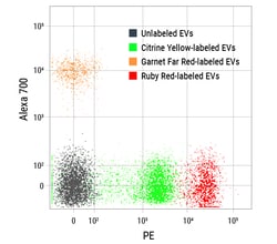 System Biosciences LLC&nbsp;EXOFLOW-ONE EV LABELING KIT RRExoFlow-ONE EV Labeling Kit for Flow Cytometry, Ruby Red = 25 Reactions