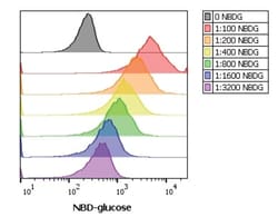 Abcam 2-NBDG Glucose Uptake Assay Kit, Quantity: Each of 1