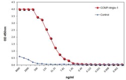 AdipoGen COMP (RAT)ANGIOPOIETIN-1 (HUM, Quantity: Each of 1