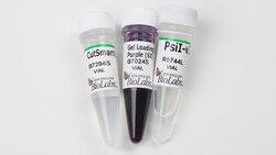 New England Biolabs, Inc.&nbsp;PsiI-v2 – 400 units