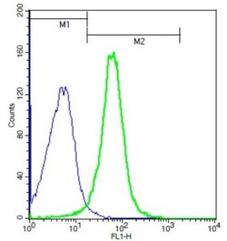 Abcam Rabbit polyclonal to BAMBI/NMA, Quantity: Each of 1