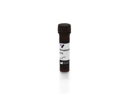 Vector Laboratories VECTASTAIN ABC-HRP, Rabbit IgG SA-1500-1, Quantity: