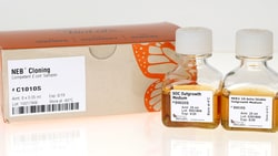 New England Biolabs, Inc. NEB Cloning Competent E. coli Sampler – 8 vials