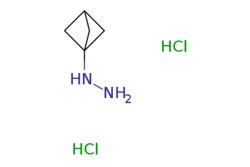 eMolecules​ 1-bicyclo[1.1.1]pentanylhydrazine dihydrochloride | Pharmablock