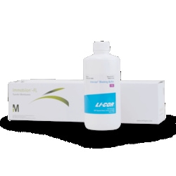 LI COR BIOTECH LLC TBS Blocking Buffer and PVDF Kits (single buffer kit),