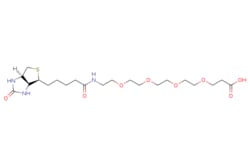 eMolecules​ Biotin-PEG4-acid | 721431-18-1 | MFCD08457831 | 100mg, Quantity: