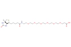 eMolecules​ Biotin-PEG6-acid | 1352814-10-8 | MFCD16875661 | 100mg, Quantity: