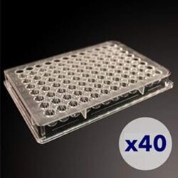 Revvity Health Sciences Inc High-throughput counting plates, 12 x 2 orientation,