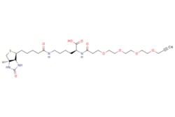 eMolecules​&nbsp;2055042-71-0 | N-(Propargyl-PEG4)-biocytin | Broadpharm | MFCD30182023 | 614.760 | C28H46N4O9S | 98.000 | OC(=O)[C@H](CCCCNC(=O)CCCC[C@@H]1SC[C@@H]2NC(=O)N[C@H]12)NC(=O)CCOCCOCCOCCOCC#C | 250mg | 309208855