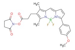 eMolecules​ BDP TMR NHS ester | 485397-12-4 | | 25mg, Quantity: Each of
