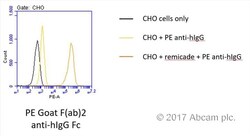 Abcam&nbsp;Goat F(ab')2 Anti-Human IgG - Fc (PE), pre-adsorbed