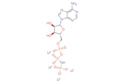 eMolecules​&nbsp;Adenosine 5'-[beta,gamma-imido]triphosphate tetralithium | 72957-42-7 | MFCD00042993 | >98.0% | 10 MG