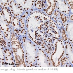 Abcam Mouse and Rabbit Specific HRP/DAB IHC Detection Kit - Micro-polymer,