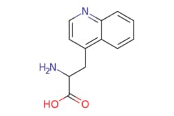 eMolecules​ 2-Amino-3-quinolin-4-yl-propionic acid | J & W PharmLab LLC