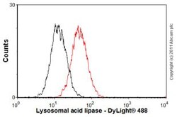 Abcam Mouse monoclonal [9G7F12] to Lysosomal acid lipase/LAL, Quantity: