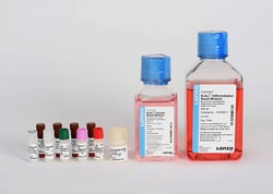 Lonza Walkersville B-ALI Bronchial Air-Liquid Interface Medium BulletKit,