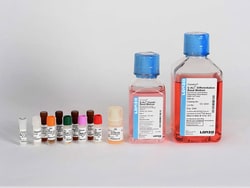 Lonza Walkersville&nbsp;S-ALI Small Airway Air-Liquid Interface Medium BulletKit