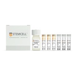 STEMCELL Technologies EasySep HLA Chimerism Whole Blood CD8 Positive Selection