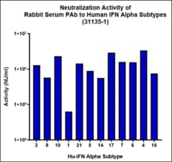 PBL Assay Science Anti-Human Interferon Alpha (IFN-Alpha) (All Subtype)