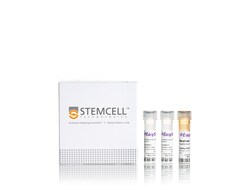 STEMCELL Technologies EasySep Mouse CD45 Positive Selection Kit, For processing:
