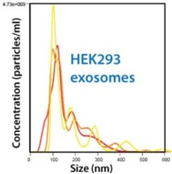 System Biosciences LLC&nbsp;HEK293 EXOSOMESFrozen exosomes (>1x10^10) from HEK293 Human embryonic kidney cell line = 50ug