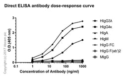Abcam Rabbit monoclonal [H169-1-5] Anti-Human IgG Fc, Quantity: Each of