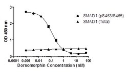 Abcam SMAD1 (pS463/465) ELISA Kit, 1 x 96 Tests, Quantity: Each of 1