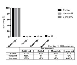 Abcam Goat Anti-Rabbit IgG H&L (HRP), Quantity: Each of 1
