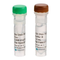 BIOSEARCH TECHNOLOGIES INC (Lucigen) Bst DNA Polymerase, Exonuclease Minus