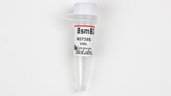 New England Biolabs, Inc. BsmBI-v2 – 1000 units, Quantity: Each of 1