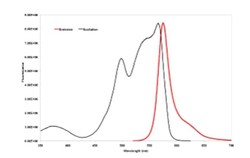 Abcam Goat Anti-Human IgM mu chain (PE) preadsorbed, Quantity: Each of