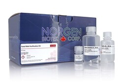 Norgen Biotek Corp&nbsp;Total Rna Purificatio 500Preps