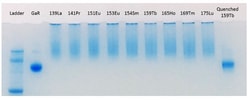 Abcam 141Pr Metal Conjugation Kit - Lightning-Link, 100UG