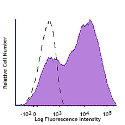 Biolegend Brilliant Violet 605 Anti-Human CD25 Antibody | 100 Tests, Quantity: