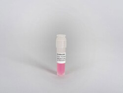 Lonza Walkersville&nbsp;Mouse CD-1 Hepatocytes, Cryopreserved, Plateable