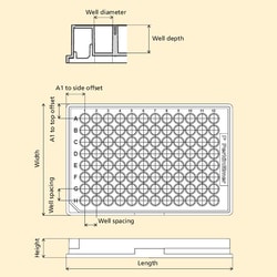 Revvity Health Sciences Inc ViewPlate-384 F, Black, clear bottom, untreated, Case of 50