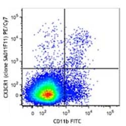 Biolegend PE/Cyanine7 anti-mouse CX3CR1, Quantity: Each of 1
