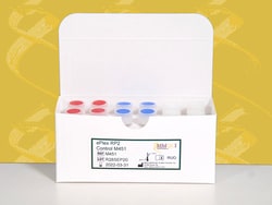 Maine Molecular Quality Controls Inc&nbsp;ePlex RP2 Control M451