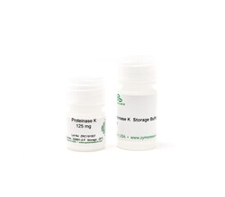 Zymo Research Corporation Proteinase K w/ Storage Buffer Set (125 mg),