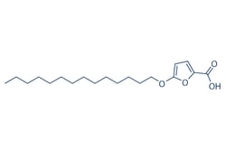 Selleck Chemical LLC TOFA (5-(Tetradecyloxy)-2-furoic acid) 5mg 54857-86-2