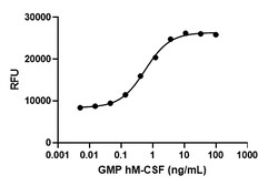Biolegend GMP Recombinant Human M-CSF (carrier-free), Quantity: Each of