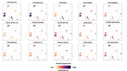 Biolegend TotalSeq -CHuman Universal Cocktail, V1.0, Quantity: Each of
