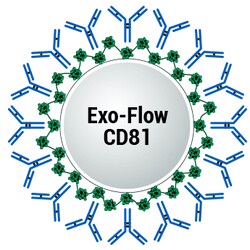 System Biosciences LLC&nbsp;CD81 EXO-FLOW CAPTURE KITCD81 Exo-Flow capture kit (Magnetic streptavidin beads, CD81-biotin capture antibody, Wash and Elution Buffers, Exo-FITC stain) = 10 Reactions